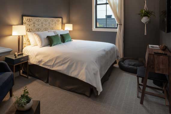 Atticus-Hotel-Micro-Suite-Dog-bed Cozy hotel bedroom with a queen bed, white linens, green accent pillows, and twin bedside lamps on dark nightstands.