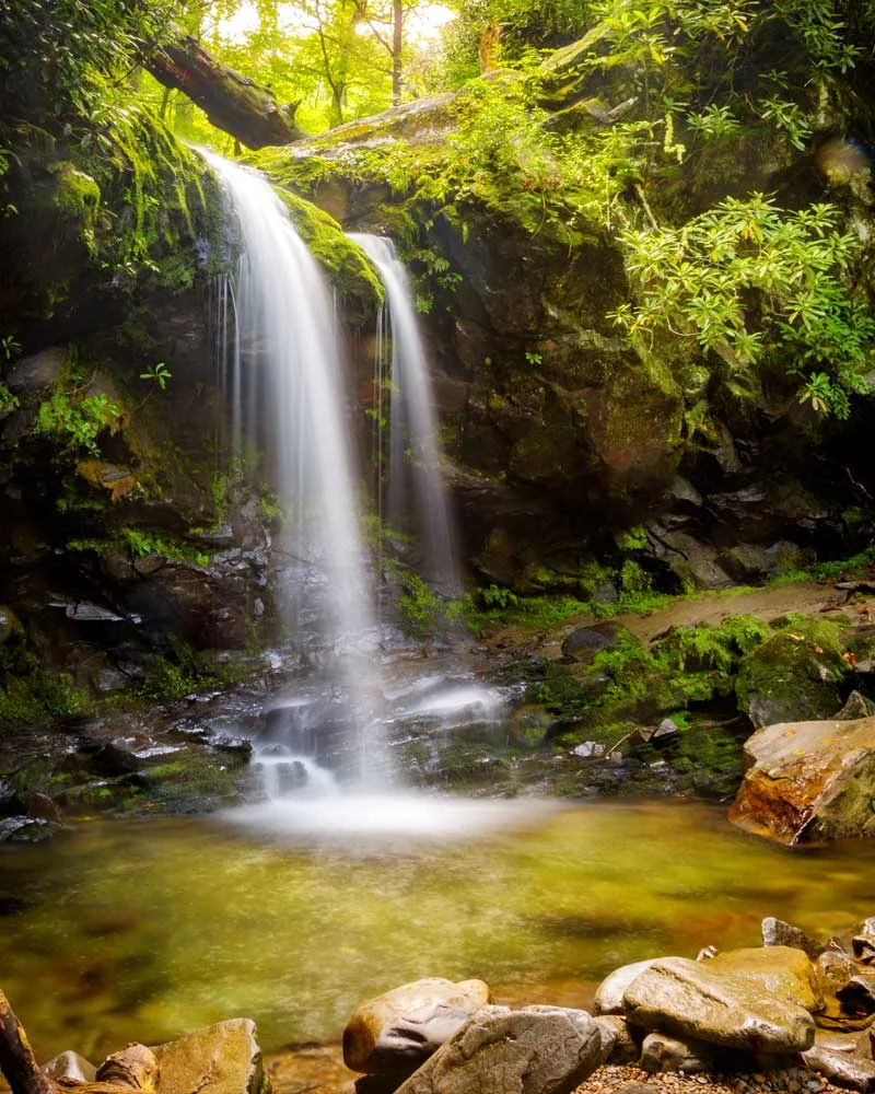 Waterfall cascading over mossy rocks into a clear pool in a lush green forest.