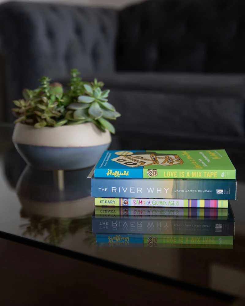 A stack of colorful books on a glass table beside a potted succulent plant.